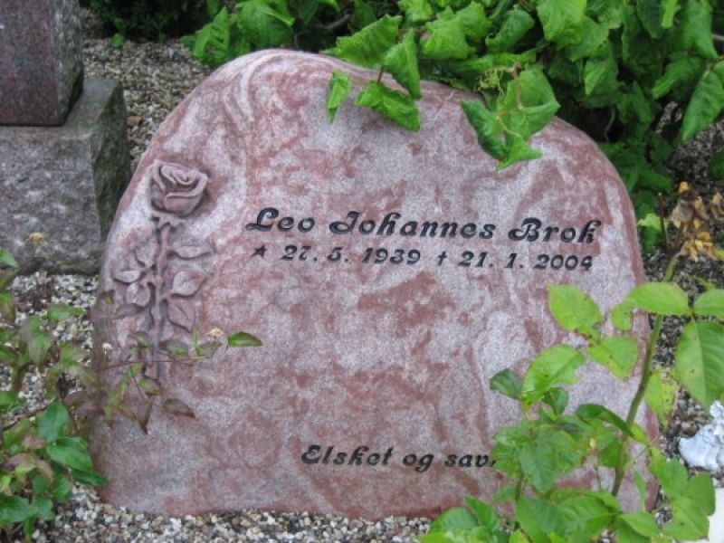 Leo Johannes Brok.jpg
